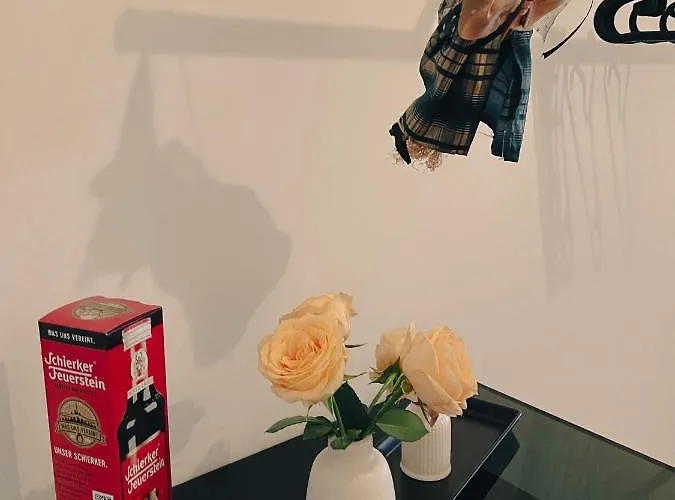 Stadtvilla Haug Exklusiven Im Harz