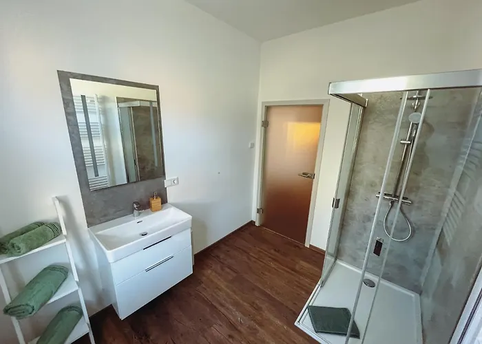 Apartment Stadtvilla Haug Exklusiven Im Harz *